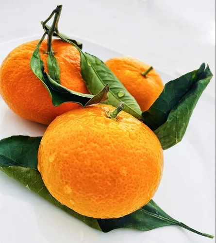 Mandarina fresca Satsuma de California (2.5)