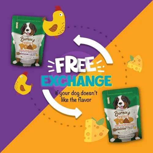 Miniatura 10 de Suplemento Perfecto para Popó, Digestión y Salud General para Perros: Fibra, Prebióticos, Probióticos y Enzimas Alivian las Condiciones Digestivas