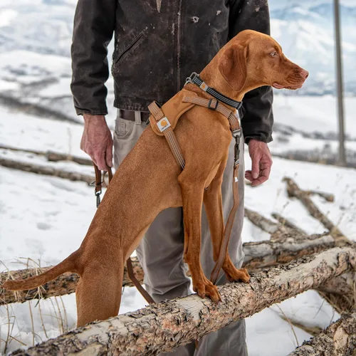 Miniatura 5 de Carhartt Arnés para Perro de Lona de Nylon Sin Tirones, Arnés para Perro Totalmente Ajustable con Mango de Control Rápido y Acentos Reflectantes