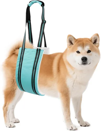 Miniatura 13 de AIITLE Eslingas mejoradas para perros pequeños – Arnés de soporte para patas traseras y cadera, ayuda de elevación de rehabilitación súper suave