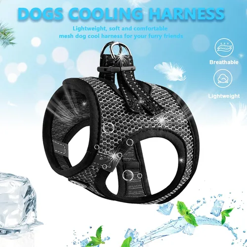 Miniatura 2 de Arnés para perros – Chaleco transpirable para cachorros para perros pequeños, arnés de malla para gatos (negro, S)