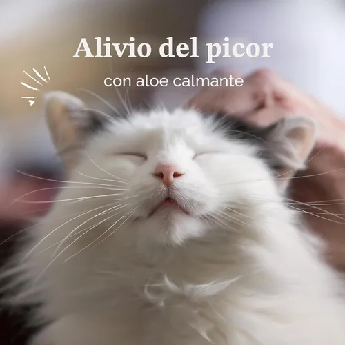 Miniatura 2 de PetArmor Tratamiento de ácaros del oído para gatos, el medicamento para los ácaros del oído mata las garrapatas y los ácaros del oído para aliviar