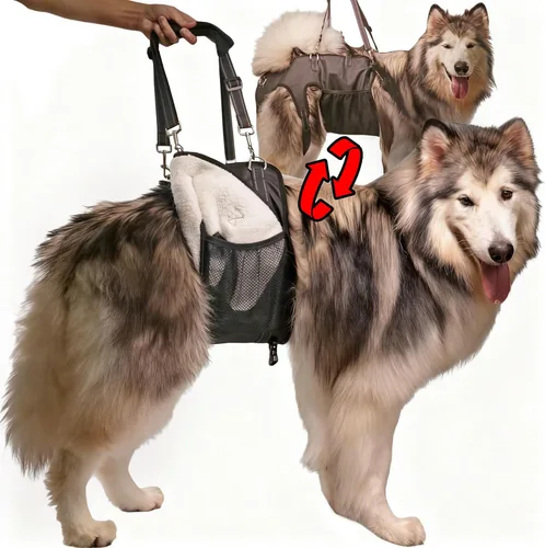 Miniatura 11 de Arnés doble uso para perro SyFatWeen con soporte para las patas traseras y cadera, cabestrillo canino para elevación de perro, ajustable y suave