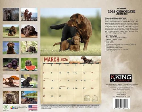 Miniatura 2 de The KING Company-Monster Calendars - Calendario de pared de perro labrador de chocolate 2026, 16 meses, tamaño XL, 14 x 22 pulgadas, calendario