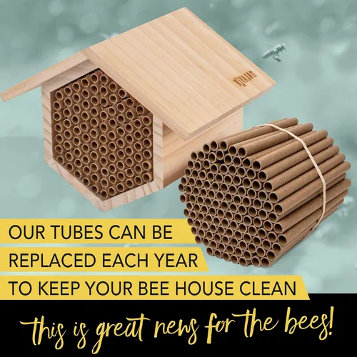 Miniatura 7 de Rivajam Paquete de repuesto de 125 tubos nidos de cartón Mason Bee House Colmena de abejas solitarias y suministros Kit de inicio y regalo