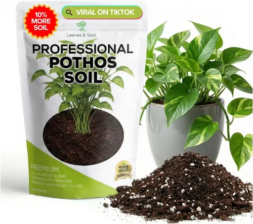 Miniatura 16 de Bird of Paradise - Mezcla profesional para macetas de 2.2 cuartos de galón, lista para usar, tierra de interior premium para plantas de aves