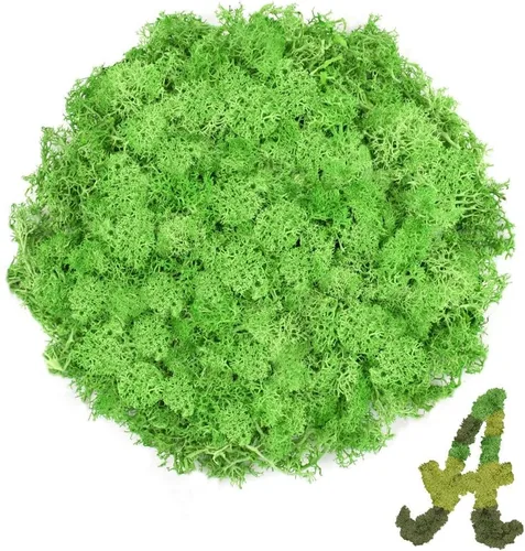 Miniatura 29 de Musgo de reno amarillo preservado de 3.5 onzas para plantas en maceta, decoración artesanal para arte de pared, musgo falso para decoración