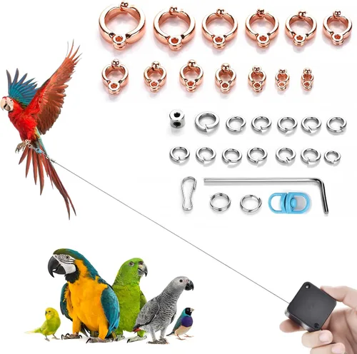 Miniatura 8 de Correa de pájaro de 6.6 pies, con 13 tamaños diferentes de anillo de pie retráctil antimordedura, cuerda de entrenamiento de vuelo de pájaros