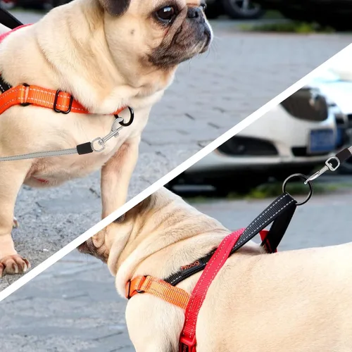 Miniatura 3 de Didog - Arnés para perros sin tirones con asa acolchada suave, ajuste rápido y ligero, arnés ajustable de chaleco, fácil para entrenamiento y paseo