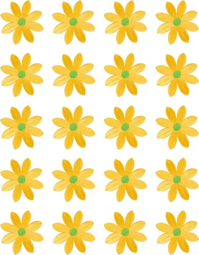 Miniatura 7 de 20 piezas de 2.7 pulgadas de margaritas grandes para planchar, apliques florales bordados para ropa, cortina, almohada, manta, adornos, zapatos