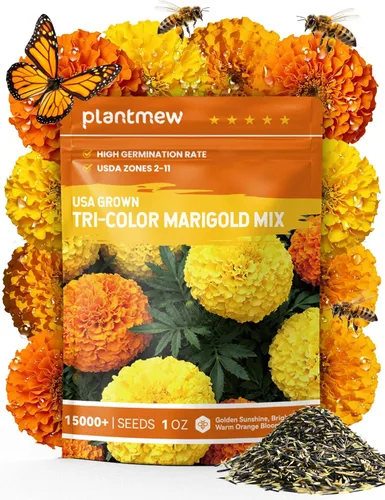 Semillas de caléndula francesa – Heirloom Petite Tri-Color Mix – Flores vibrantes amarillas/naranjas – Más de 15000 semillas para plantar al aire