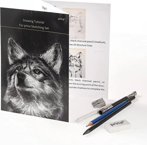 Miniatura 8 de Prina Paquete de 50 kits de dibujo para bocetos, suministros de boceto con cuaderno de bocetos de 3 colores, grafito y carbón, kit de dibujo