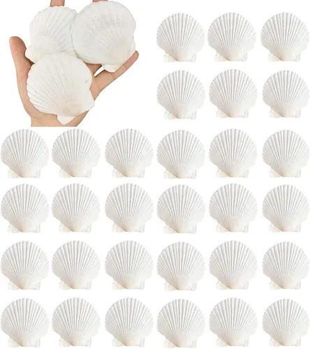 Miniatura 8 de 12 conchas de vieira naturales grandes de 4 a 5 pulgadas, conchas marinas blancas para manualidades, pintura a mano, fiestas temáticas oceánicas