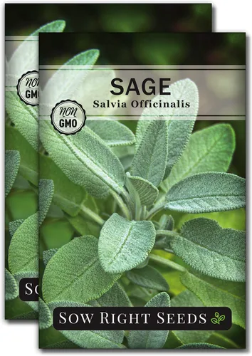 Miniatura 7 de Sow Right Seeds - Semillas de salvia para plantar - Paquete de reliquia sin OMG con instrucciones para plantar y cultivar hierbas de cocina
