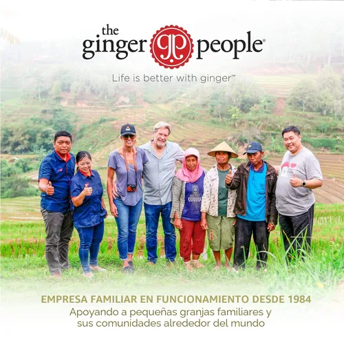 Miniatura 7 de GIN GINS - Caramelo duro de jengibre de doble fuerza – Caramelo 100% natural de The Ginger People – Golosinas saludables envueltas individualmente
