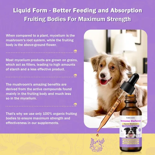 Miniatura 7 de Suplementos para el cáncer de perro – Pet Critical Guard – Defensa inmunológico, salud celular, antioxidantes con hongo cola de pavo – Suplemento
