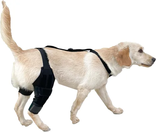 Miniatura 7 de Rodillera para perro para soporte de pierna trasera, recuperación de ACL y alivio del dolor en las articulaciones, manga de compresión ajustable