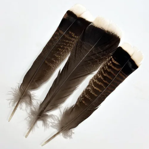 Miniatura 13 de Plumas de pavo negro, pluma larga natural grande de 10 a 13 pulgadas, plumas bilaterales de tamaño grande para manualidades, 12 piezas (pavo negro)