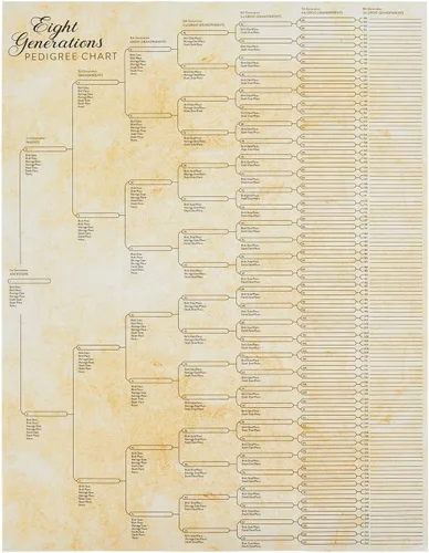 Okuna Outpost Gráficos de árbol genealógico para rellenar – 8 gráficos de genealogía de generación con 255 espacios de nombres – Póster de árbol