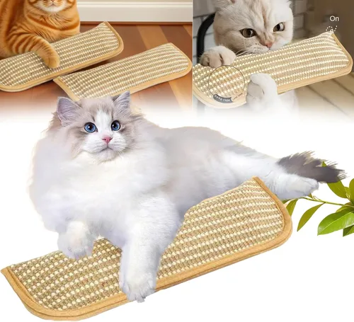 Bite & Buff Cat Pillow Toy, 2 Pack Catnip Toys for Indoor Cats, Interactive Catnips Chew Toy, Catnips Toys, Sisal Scratching Pad (1PC)
