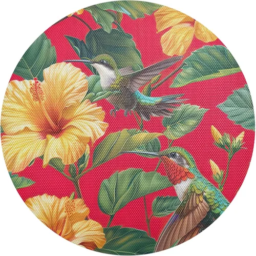 Manteles individuales de color rojo vibrante con colibríes verdes, manteles individuales a prueba de calor, manteles individuales antideslizantes,