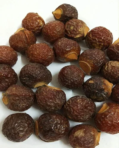 Miniatura 2 de Mrigakshi Naturals - Cápsulas de Reetha secas enteras Aritha Pods Nueces de jabón Jaboneras Champú para el cabello a base de hierbas - 200 g