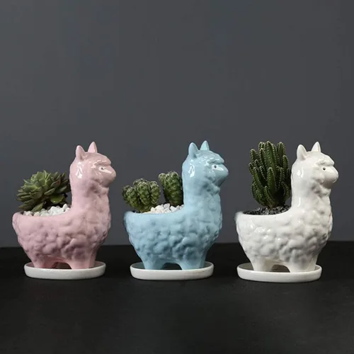 Miniatura 6 de Lependor Bonita maceta para suculentas con bandeja de drenaje, contenedor de cerámica blanca para cactus o flores, soporte para bonsái de alpaca