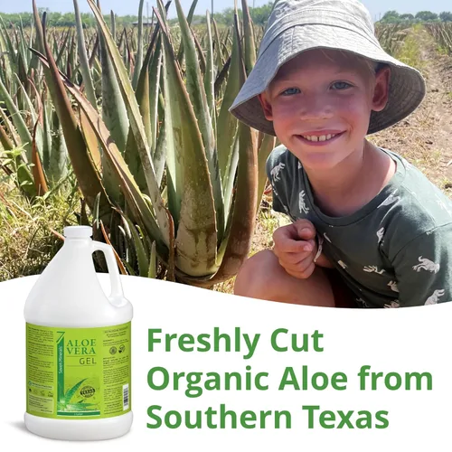 Miniatura 2 de Seven Minerals Gel orgánico de aloe vera de aloe 100% puro recién cortado, 1 galón, de la más alta calidad, cultivado en Texas, vegano, sin perfume