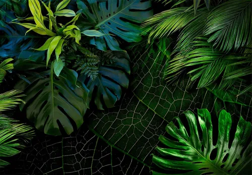 Miniatura 2 de Bormia - Papel tapiz de pared verde Monstera con hojas de plátano, hojas de plátano, sin costuras, calcomanías de pared para sala de estar, 034