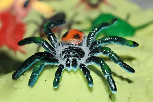 Miniatura 9 de BOHS Figuras de juego de insectos, juguetes realistas de insectos para proyectos educativos, 16 piezas, 2-3 pulgadas de longitud, recuerdos