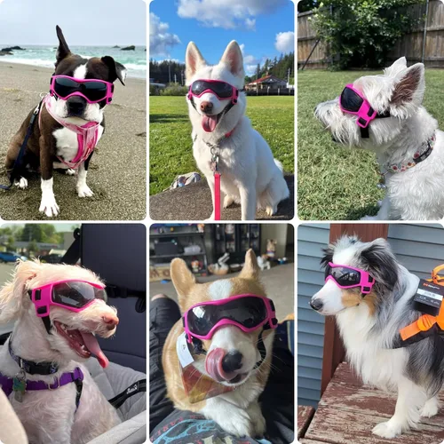 Miniatura 2 de Gafas de sol para perros de raza media, lentes de sol para perros pequeños, gafas de sol anti-UV para protección de ojos de mascotas, correas Rosa