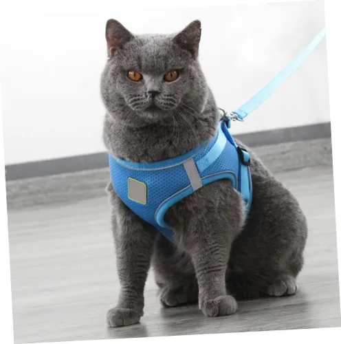 Miniatura 4 de COLLBATH Reflective Dog Vest Harness Set with Breathable Mesh Chest Strap Lightweight and Pet Pulling Strap for Outdoor Walking Blue S Comfortable