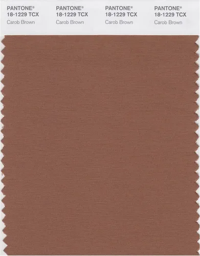 Miniatura 13 de PANTONE Tarjeta de muestra de color inteligente 18-1314X, bellota