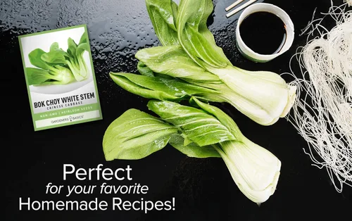 Miniatura 5 de Gardeners Basics, Bok Choy - Semillas de col china para plantar, (Pak Choi) reliquia, variedad vegetal sin OMG, semillas de 0.04 onzas (0.04 oz)