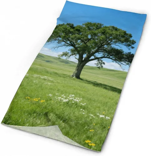 Miniatura 3 de Polaina para el cuello UPF 50, protección solar Prairie Lone Tree, máscara facial que absorbe la humedad y se seca rápido, sin costuras, polaina
