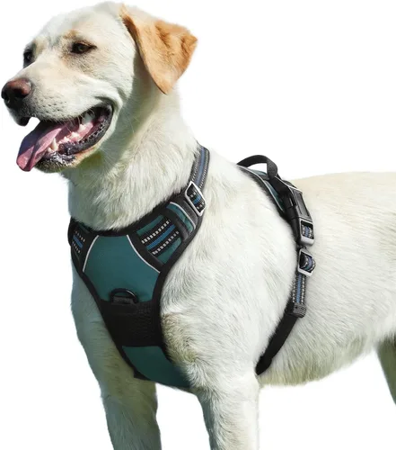 Miniatura 12 de Eagloo Arnés para perro pequeño, sin tirones, chaleco de servicio con tiras reflectantes y asa de control, ajustable y cómodo para caminar, arnés
