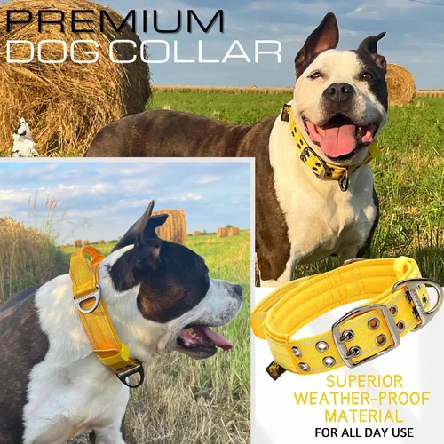 Miniatura 6 de ADITYNA Collar para Perros de Servicio Pesado para Perros Grandes - Collar Amarillo Reflectante con Asa para Entrenamiento y Caminata - Ancho