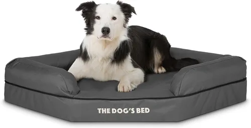 Miniatura 10 de The Dog's Bed - Cama ortopédica de espuma viscoelástica para perro, tela Oxford, gris con ribete negro, mediana