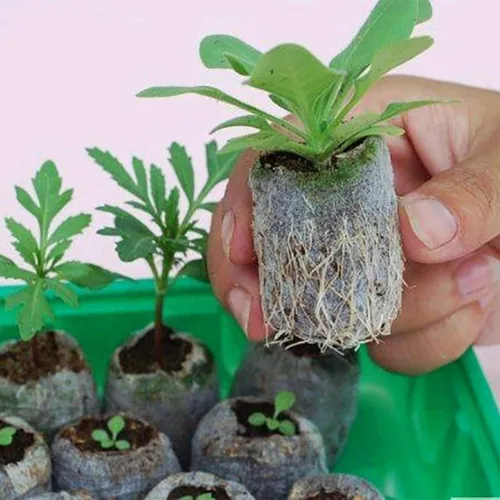 Miniatura 4 de Tlswshsy Bloque de suelo de plántulas de palets de turba de 1.181 in, 120 unidades, tapones de arranque de plantas, trasplante de cultivo