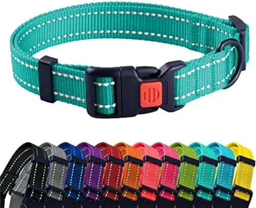 Miniatura 40 de CollarDirect Collar reflectante para perro o cachorro pequeño, mediano y grande con hebilla de liberación rápida, para machos y hembras, nailon Rojo