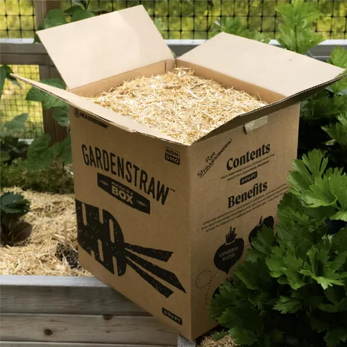 Miniatura 2 de Caja de mantillo GardenStraw de HealthiStraw, 2 pies cúbicos (10 lb) – Paja de trigo 100% natural y sostenible para jardines, siembra de césped