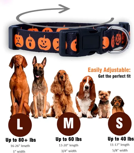 Miniatura 3 de Native Pup Collar de Perro de Halloween - Collares de Disfraz de Terror con Temática Espeluznante de Otoño - Calavera, Calabaza, Fantasma, Calabazas