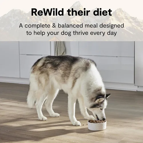Miniatura 2 de Open Farm, RawMix - Alimento seco para perros con granos antiguos, croquetas llenas de proteínas recubiertas en caldo de huesos con trozos crudos