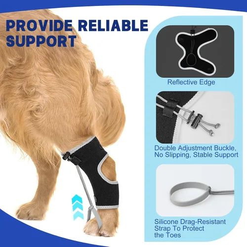 Miniatura 2 de Muñuelos para perros para hiperflexión de falanges causada por daño del nervio ciático y deformidad flexional carpiana - Correas de bloqueo dobles