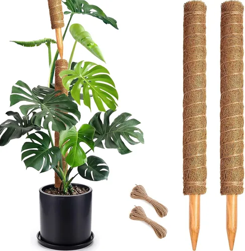 Miniatura 11 de Poste de musgo de 48 pulgadas, poste de musgo flexible para plantas Monstera, postes de musgo altos para plantas trepadoras de interiores, soporte