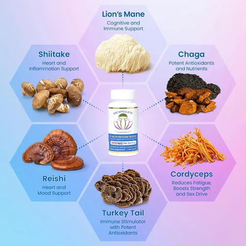 Miniatura 2 de ENCAPSULATE Mezcla de 6 hongos – Reishi, Chaga, cola de pavo, cordyceps, melena de león y extracto de hongo Shiitake 8:1 – Suplemento de hongos