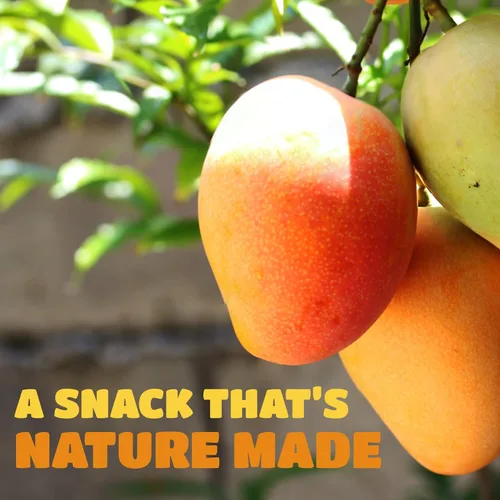 Miniatura 8 de Rebanadas de mango seco sin azúcar, textura deliciosa, suave y jugosa, mango seco con bajo contenido de azúcar, mangos naturalmente madurados