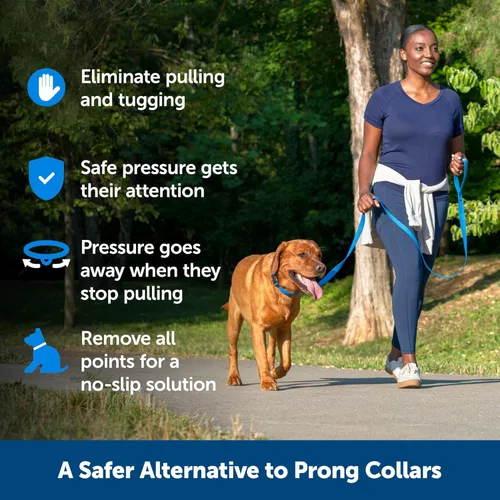 Miniatura 2 de PetSafe Soft Point - Collar de entrenamiento sin tirones para perros, puntos suaves de goma, mediano, 3/4 pulgadas, azul rey