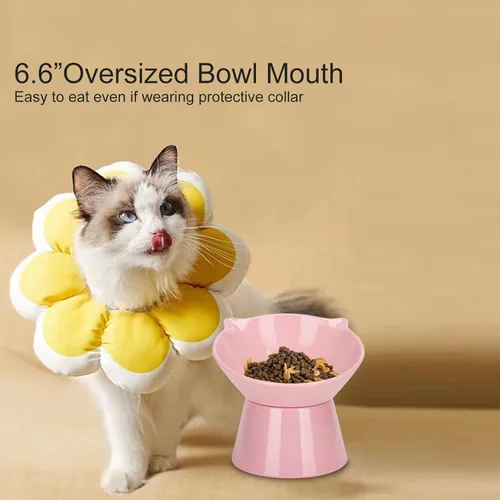 Miniatura 8 de Cuencos elevados desmontables para gatos, tazón elevado inclinado 15° para gatos anti-vómitos, amigable con los bigotes, platos ajustables para Rosa