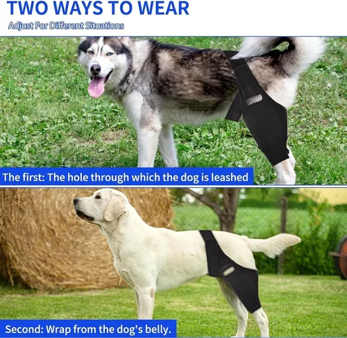 Miniatura 4 de Rodillera para perro, soporte ajustable para piernas de perro para desgarro del ligamento cruzado anterior, dolor de articulaciones, dolor muscular